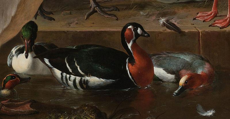 HONDECOETER, Melchior d A Pelican and Other Birds Near a Pool, known as 'The Floating Feather'